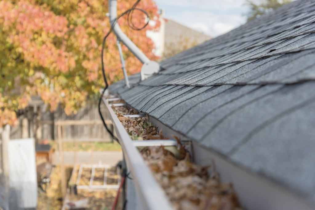 Fall gutter maintenance