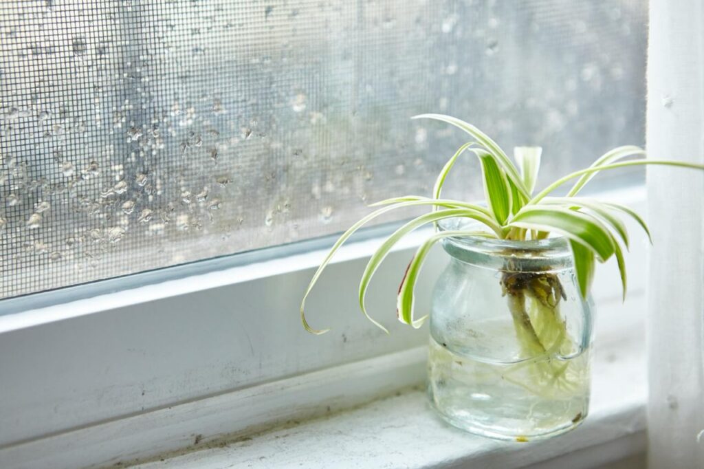 Why Indoor Humidity Levels Drop in Winter
